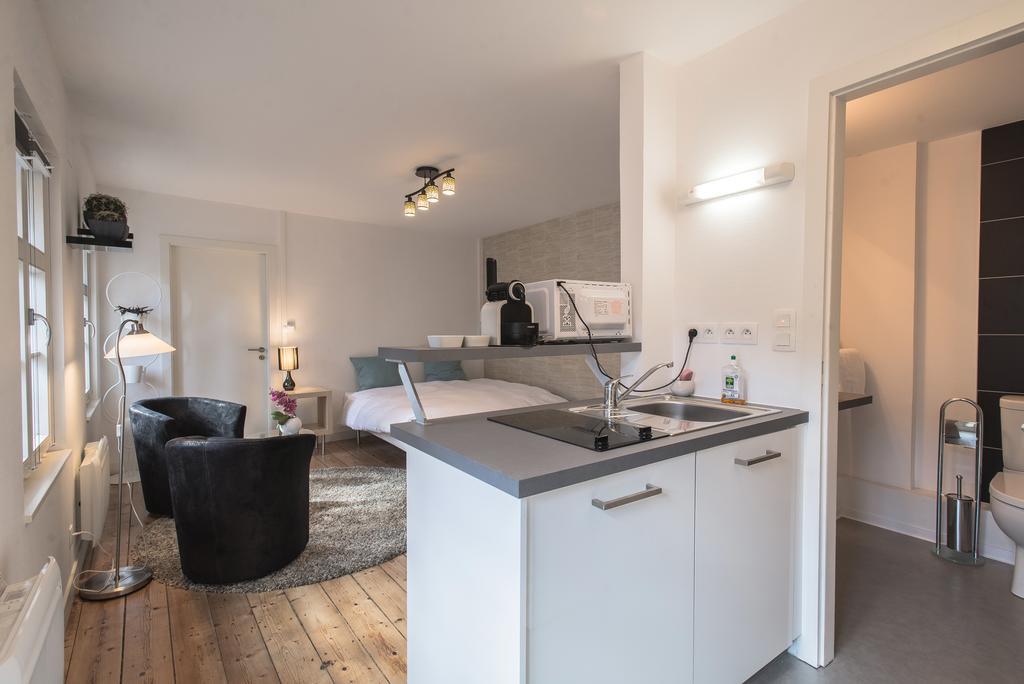 Appartements Orfevres Cathedrale Strasburg Zewnętrze zdjęcie
